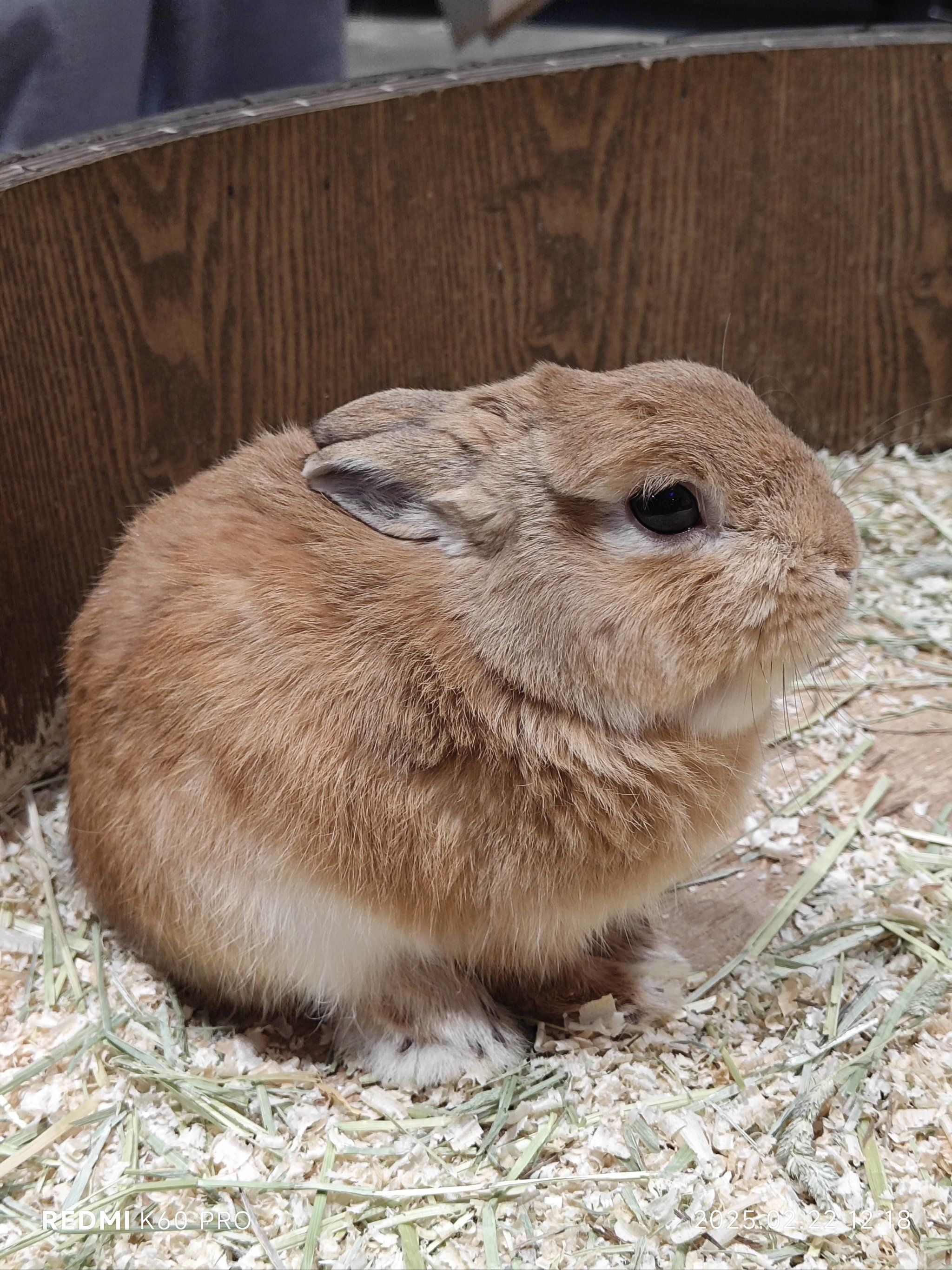 阿里云备案要多久？看完这篇，新手也能快速拿号！